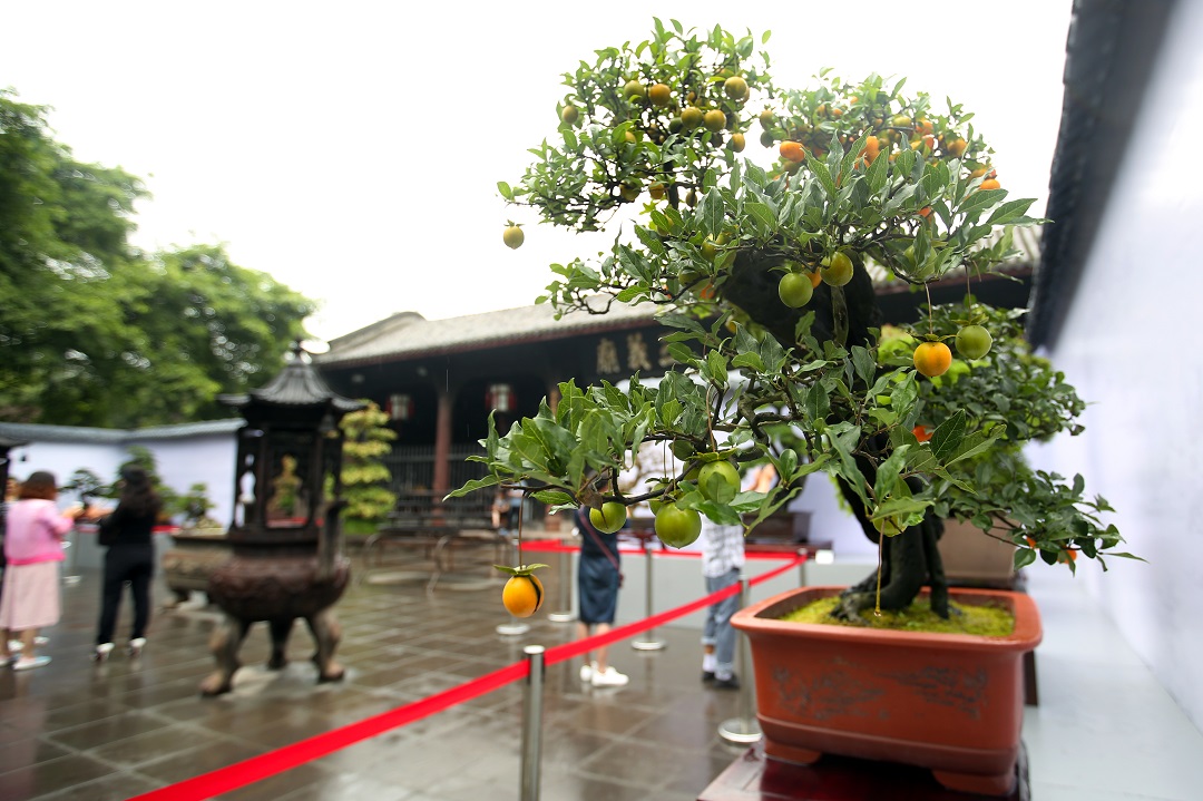 _image_hide_flag_image_1601173168_ofKe54FA _image_hide_flag_image_1601173168_ofKe54FA